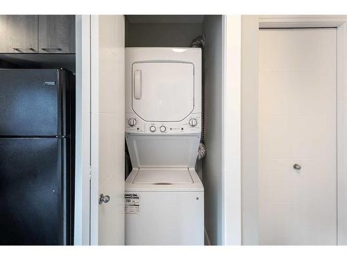 92 Burma Star Road Sw, Calgary, AB - Indoor Photo Showing Laundry Room