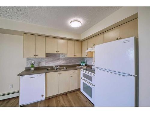 1407-17 Country Village Bay Ne, Calgary, AB - Indoor Photo Showing Kitchen With Double Sink