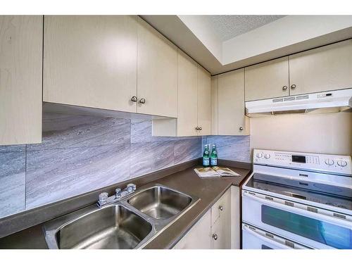 1407-17 Country Village Bay Ne, Calgary, AB - Indoor Photo Showing Kitchen With Double Sink