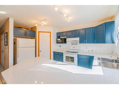 127 Erin Meadow Way Se, Calgary, AB - Indoor Photo Showing Kitchen With Double Sink