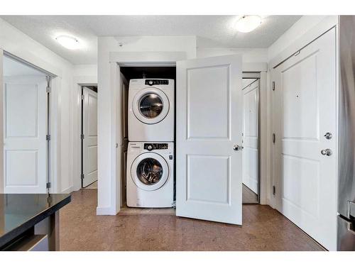 6408-155 Skyview Ranch Way Ne, Calgary, AB - Indoor Photo Showing Laundry Room