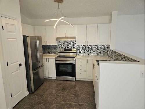 25 Martinvalley Road Ne, Calgary, AB - Indoor Photo Showing Kitchen With Upgraded Kitchen