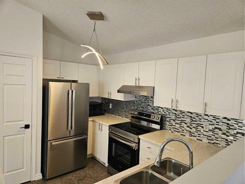 25 Martinvalley Road Ne, Calgary, AB - Indoor Photo Showing Kitchen With Double Sink