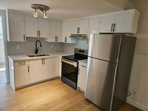 25 Martinvalley Road Ne, Calgary, AB - Indoor Photo Showing Kitchen With Double Sink