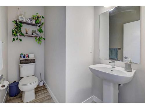 41 Homestead Boulevard Ne, Calgary, AB - Indoor Photo Showing Bathroom