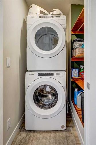 41 Homestead Boulevard Ne, Calgary, AB - Indoor Photo Showing Laundry Room