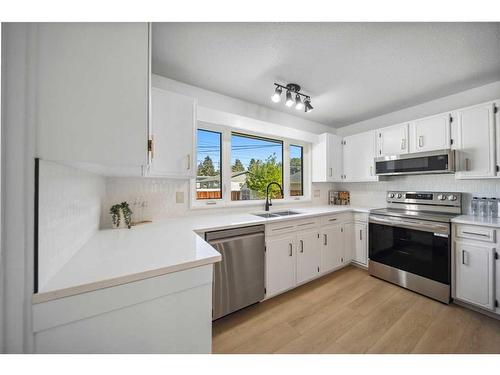 728 Mapleton Drive Se, Calgary, AB - Indoor Photo Showing Kitchen With Stainless Steel Kitchen With Double Sink