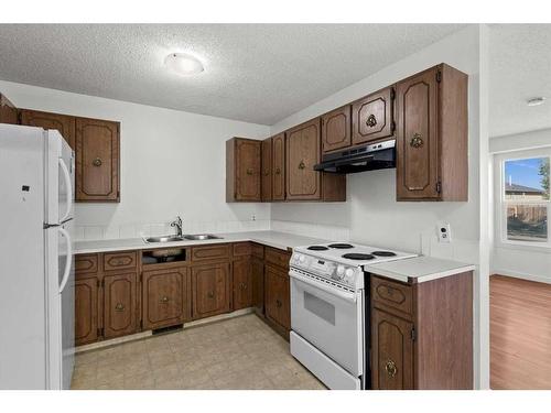 3803 44 Avenue Ne, Calgary, AB - Indoor Photo Showing Kitchen With Double Sink