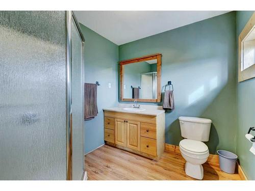 254041 Twp Road 252, Strathmore, AB - Indoor Photo Showing Bathroom