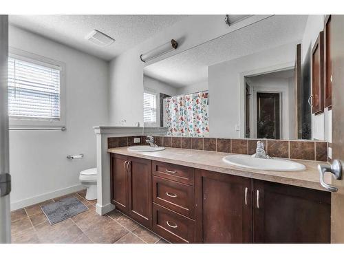 42 Skyview Ranch Crescent Ne, Calgary, AB - Indoor Photo Showing Bathroom