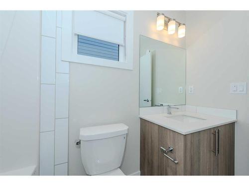 191 Homestead Park Ne, Calgary, AB - Indoor Photo Showing Bathroom