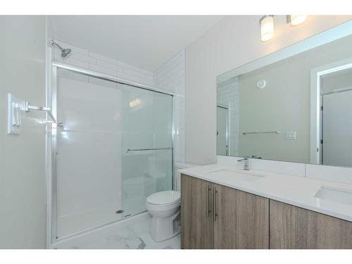 191 Homestead Park Ne, Calgary, AB - Indoor Photo Showing Bathroom