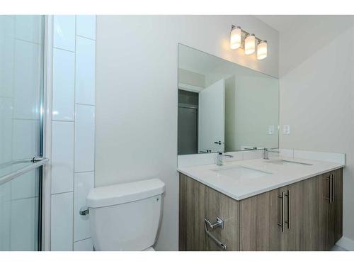 191 Homestead Park Ne, Calgary, AB - Indoor Photo Showing Bathroom