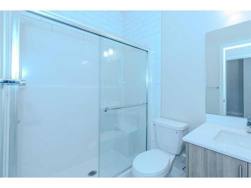 191 Homestead Park Ne, Calgary, AB - Indoor Photo Showing Bathroom