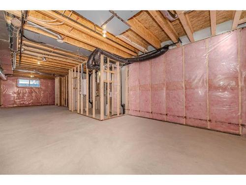 191 Homestead Park Ne, Calgary, AB - Indoor Photo Showing Basement