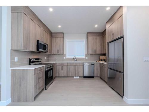 191 Homestead Park Ne, Calgary, AB - Indoor Photo Showing Kitchen With Stainless Steel Kitchen