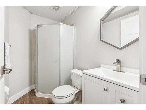 573 Douglas Woods Mews Se, Calgary, AB - Indoor Photo Showing Bathroom