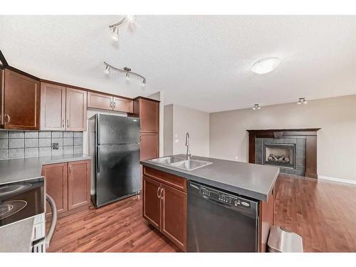 198 Skyview Springs Crescent Ne, Calgary, AB - Indoor Photo Showing Kitchen With Fireplace With Double Sink