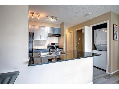 110-15 Saddlestone Way Ne, Calgary, AB - Indoor Photo Showing Kitchen With Double Sink