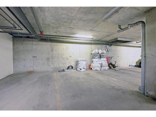 110-15 Saddlestone Way Ne, Calgary, AB - Indoor Photo Showing Garage