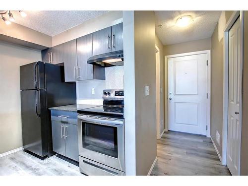 110-15 Saddlestone Way Ne, Calgary, AB - Indoor Photo Showing Kitchen