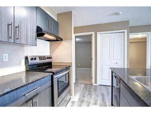 110-15 Saddlestone Way Ne, Calgary, AB - Indoor Photo Showing Kitchen With Stainless Steel Kitchen