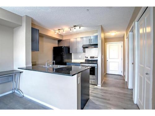 110-15 Saddlestone Way Ne, Calgary, AB - Indoor Photo Showing Kitchen With Stainless Steel Kitchen