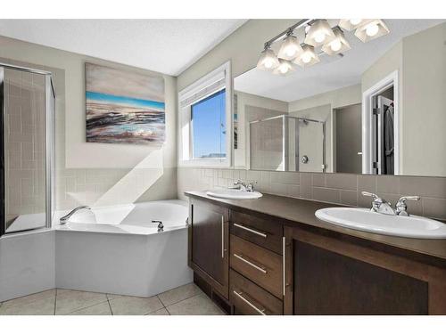 249 New Brighton Lane Se, Calgary, AB - Indoor Photo Showing Bathroom