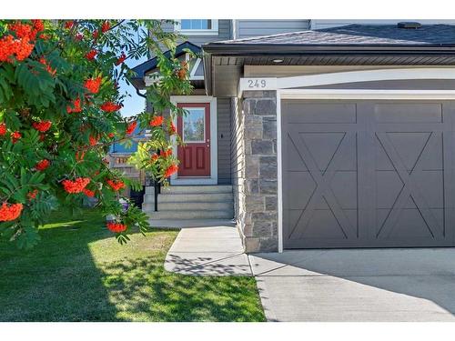 249 New Brighton Lane Se, Calgary, AB - Outdoor