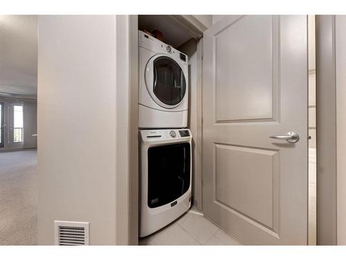 2305-310 Mckenzie Towne Gate Se, Calgary, AB - Indoor Photo Showing Laundry Room