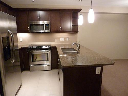 2305-310 Mckenzie Towne Gate Se, Calgary, AB - Indoor Photo Showing Kitchen With Stainless Steel Kitchen With Double Sink With Upgraded Kitchen