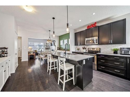 232 Copperpond Parade Se, Calgary, AB - Indoor Photo Showing Kitchen With Upgraded Kitchen