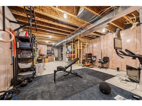 232 Copperpond Parade Se, Calgary, AB - Indoor Photo Showing Basement