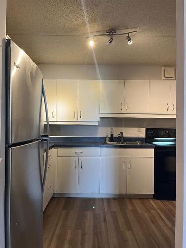 906-5204 Dalton Drive Nw, Calgary, AB - Indoor Photo Showing Kitchen With Double Sink