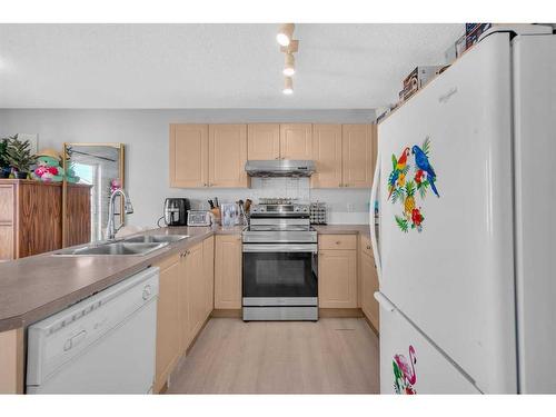 469 Martindale Drive Ne, Calgary, AB - Indoor Photo Showing Kitchen With Double Sink