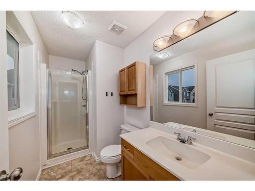 62 Royal Birch Gardens Nw, Calgary, AB - Indoor Photo Showing Bathroom