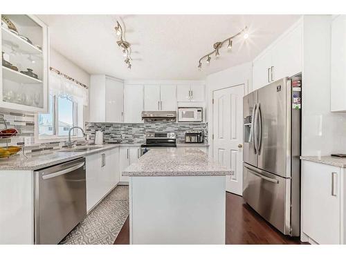 7281 Laguna Way Ne, Calgary, AB - Indoor Photo Showing Kitchen With Double Sink With Upgraded Kitchen