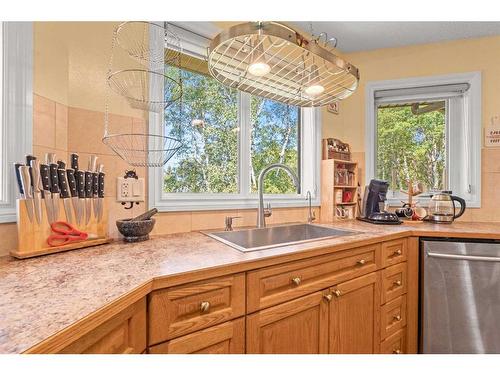 115 Dunham Lane, Diamond Valley, AB - Indoor Photo Showing Kitchen