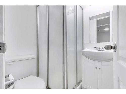 6010 Martingrove Road Ne, Calgary, AB - Indoor Photo Showing Bathroom