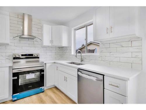 6010 Martingrove Road Ne Road Ne, Calgary, AB - Indoor Photo Showing Kitchen With Double Sink With Upgraded Kitchen