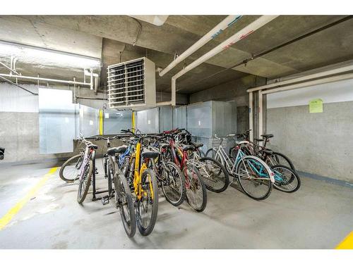 203-30 Discovery Ridge Close Sw, Calgary, AB - Indoor Photo Showing Garage