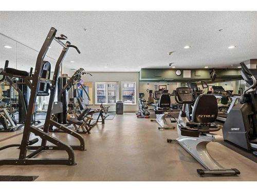 203-30 Discovery Ridge Close Sw, Calgary, AB - Indoor Photo Showing Gym Room