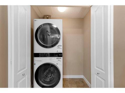 203-30 Discovery Ridge Close Sw, Calgary, AB - Indoor Photo Showing Laundry Room