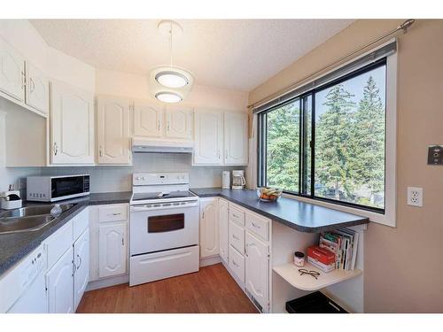 4-10457 19 Street Sw, Calgary, AB - Indoor Photo Showing Kitchen With Double Sink