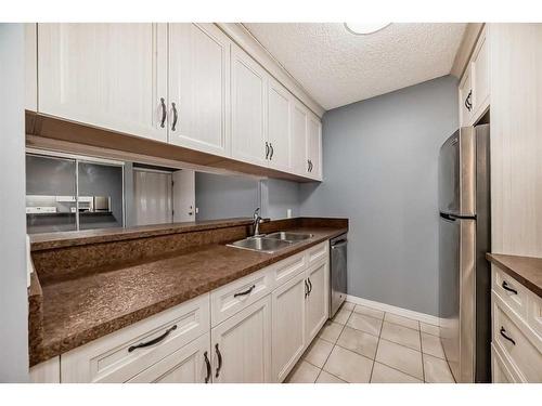 206-55          Arbour Grove Close Nw, Calgary, AB - Indoor Photo Showing Kitchen With Double Sink