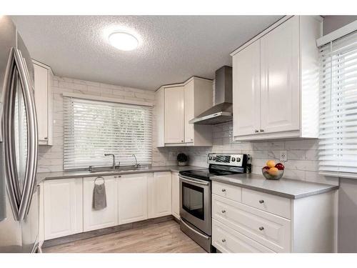 7136 Temple Drive Ne, Calgary, AB - Indoor Photo Showing Kitchen With Stainless Steel Kitchen