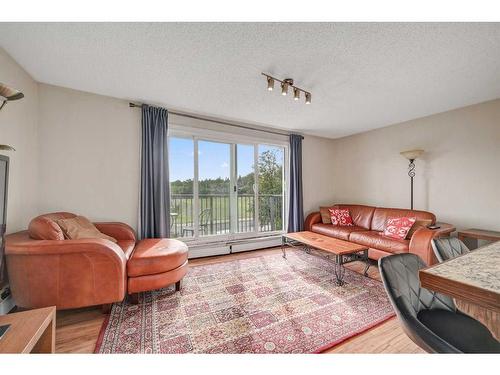 301-2203 14 Street Sw, Calgary, AB - Indoor Photo Showing Living Room