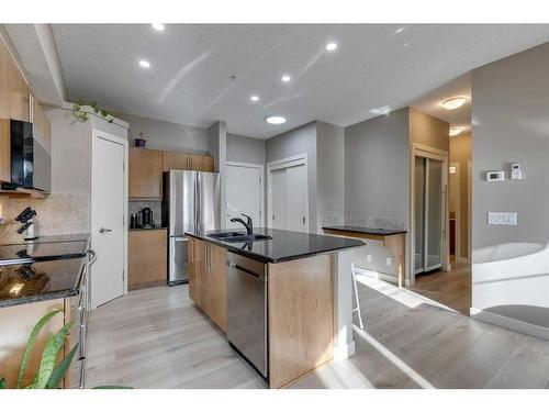 310-2307 14 Street Sw, Calgary, AB - Indoor Photo Showing Kitchen With Double Sink With Upgraded Kitchen