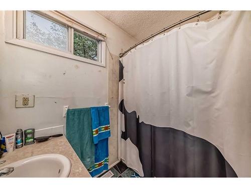 341-405 64 Avenue Ne, Calgary, AB - Indoor Photo Showing Bathroom