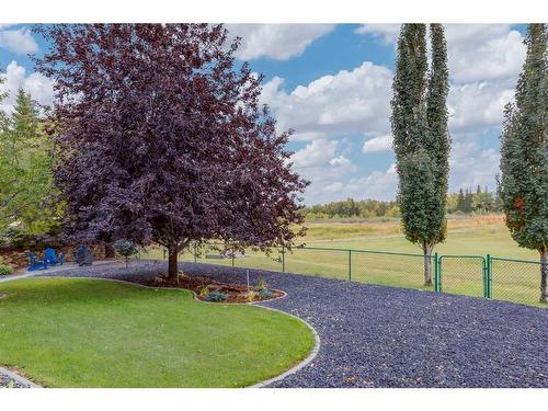 139 West Terrace Point, Cochrane, AB - Outdoor With View